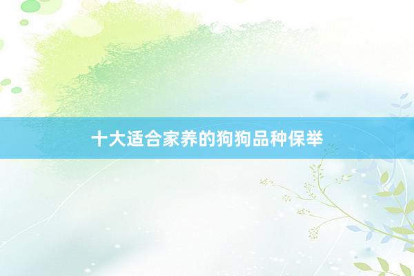 十大适合家养的狗狗品种保举