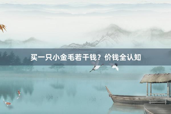 买一只小金毛若干钱？价钱全认知